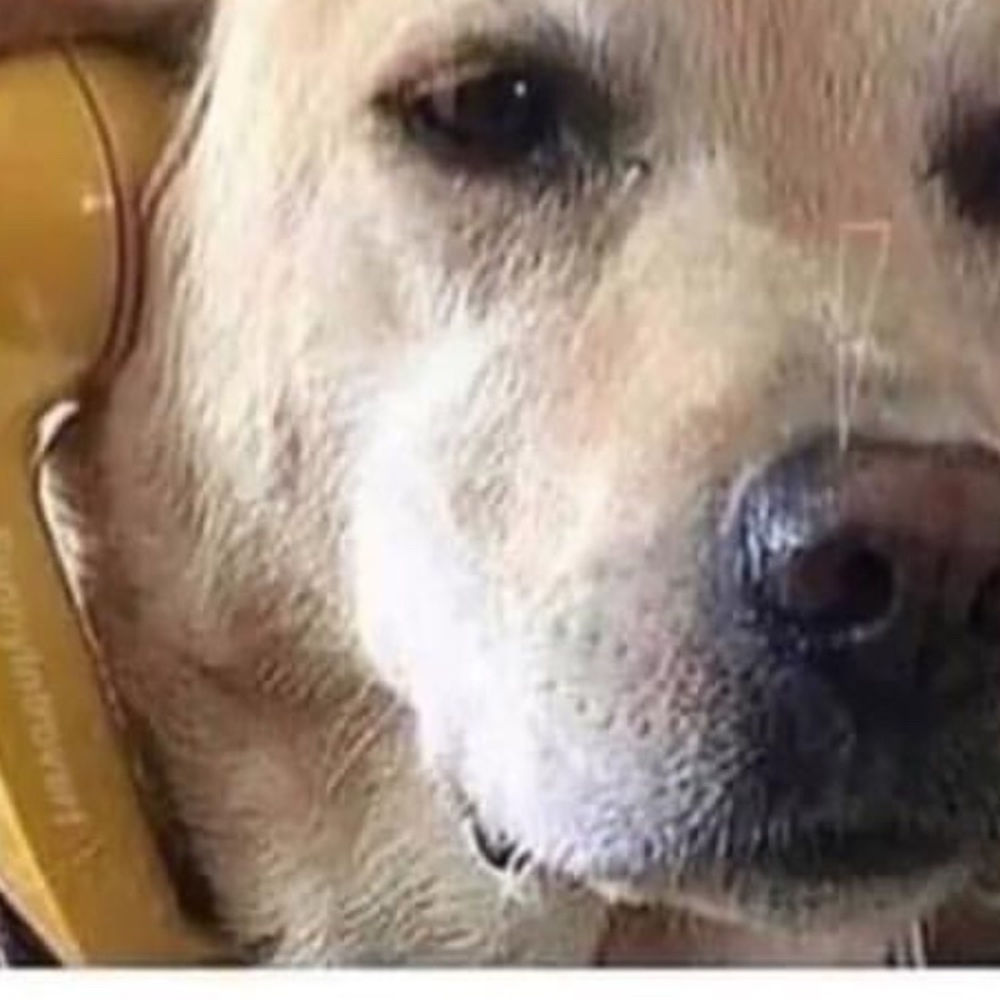 Meet your Posher, Clarissa